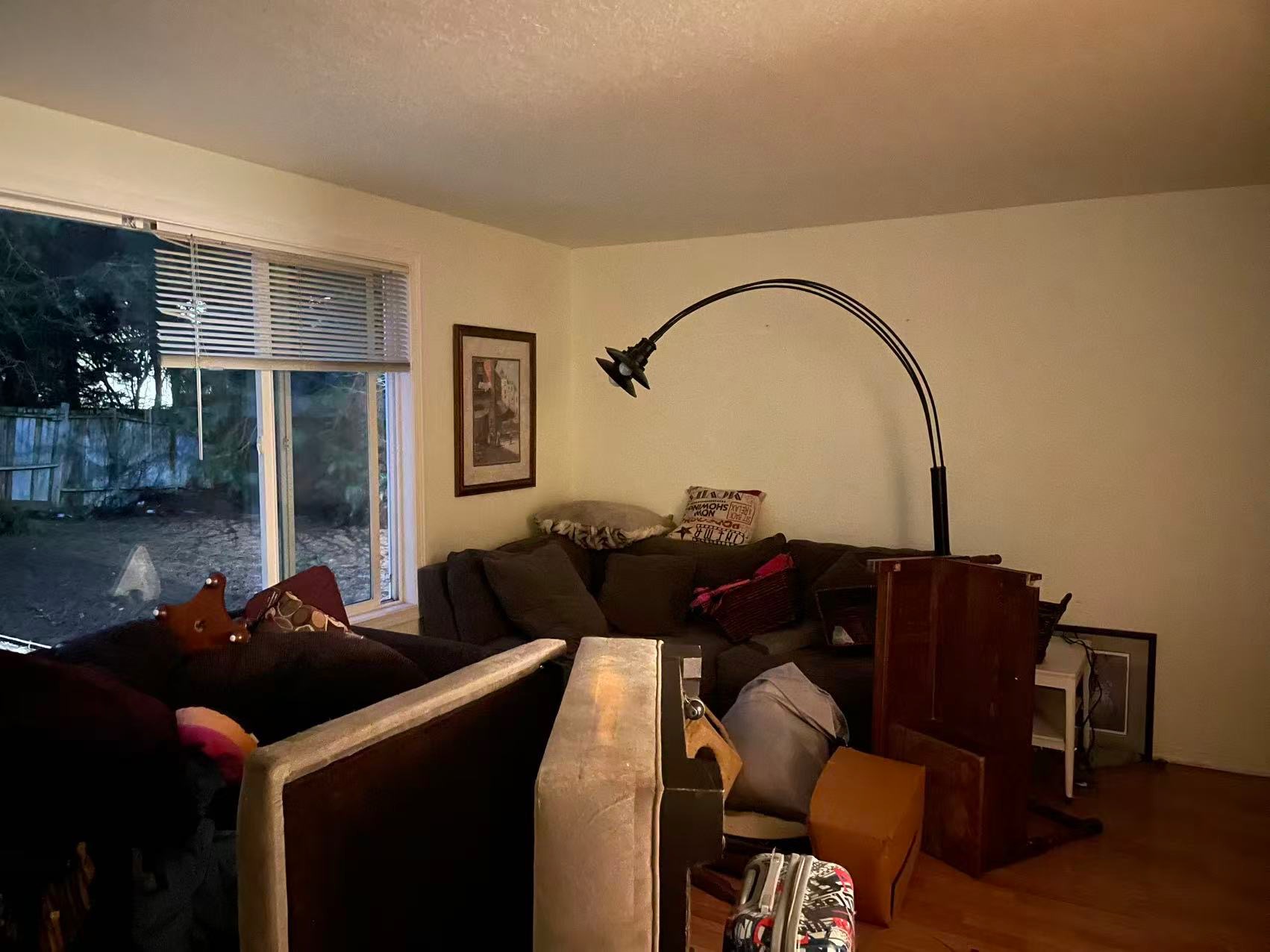 Furniture and appliance removal
