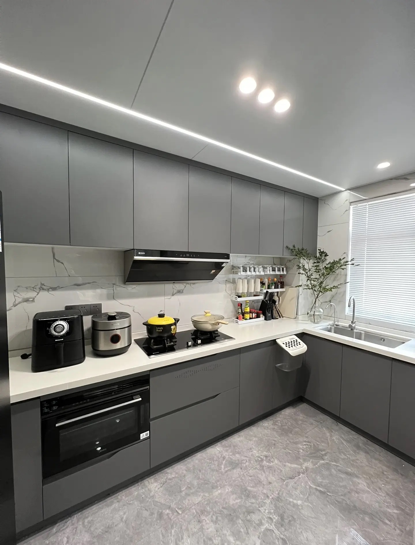 Modern Kitchen Renovation